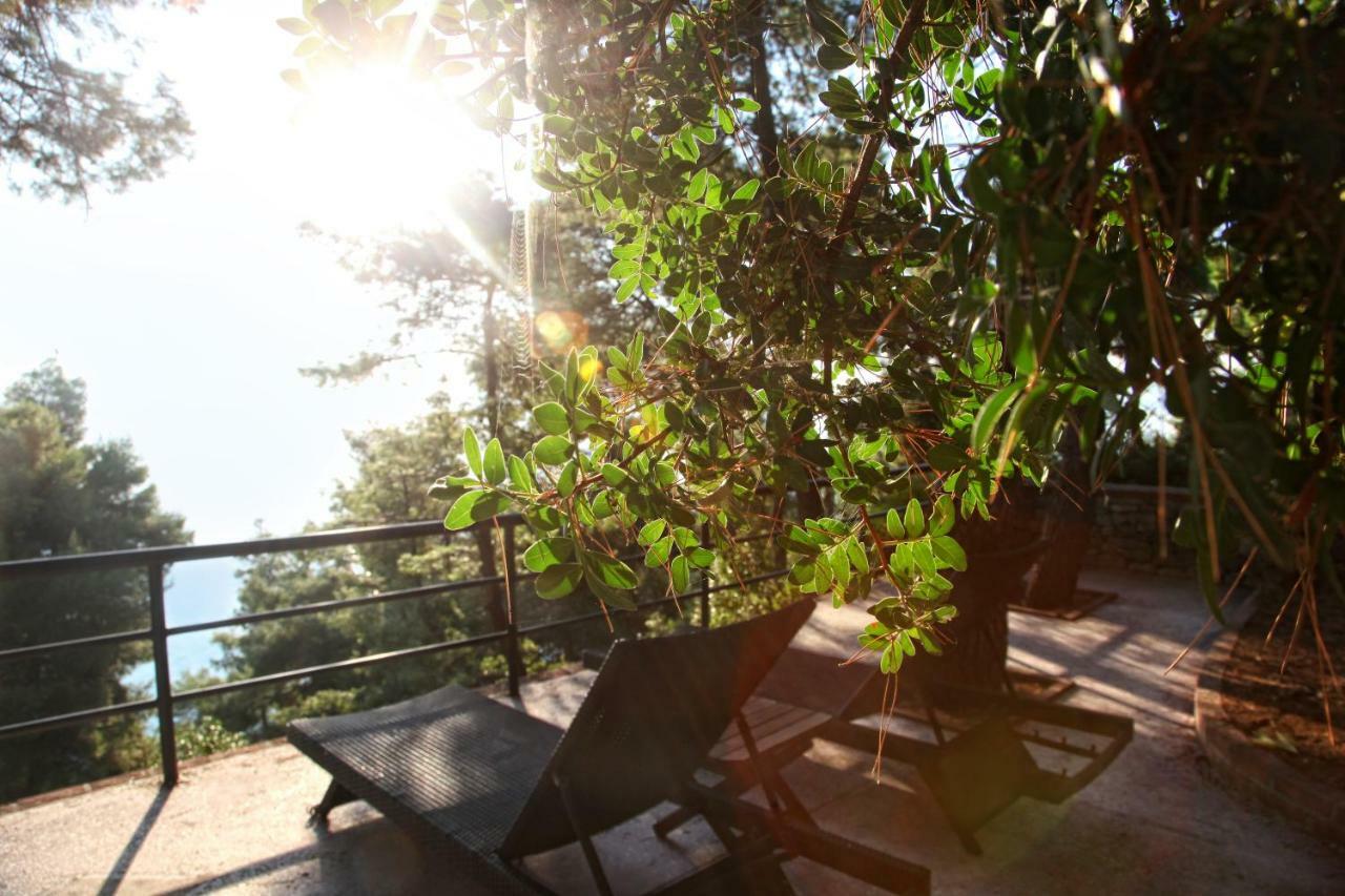 Nostos Hotel Afytos Exteriér fotografie